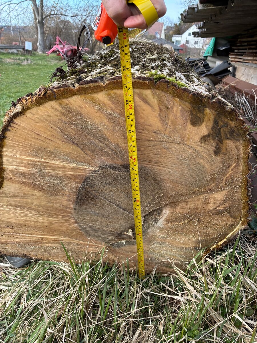 Ořechové dřevo - 3