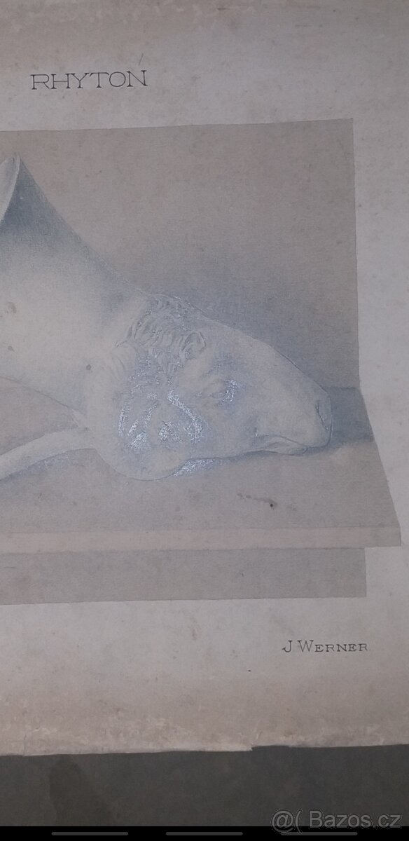 HISTORICKÁ RYTINA- J.WERNER - 3