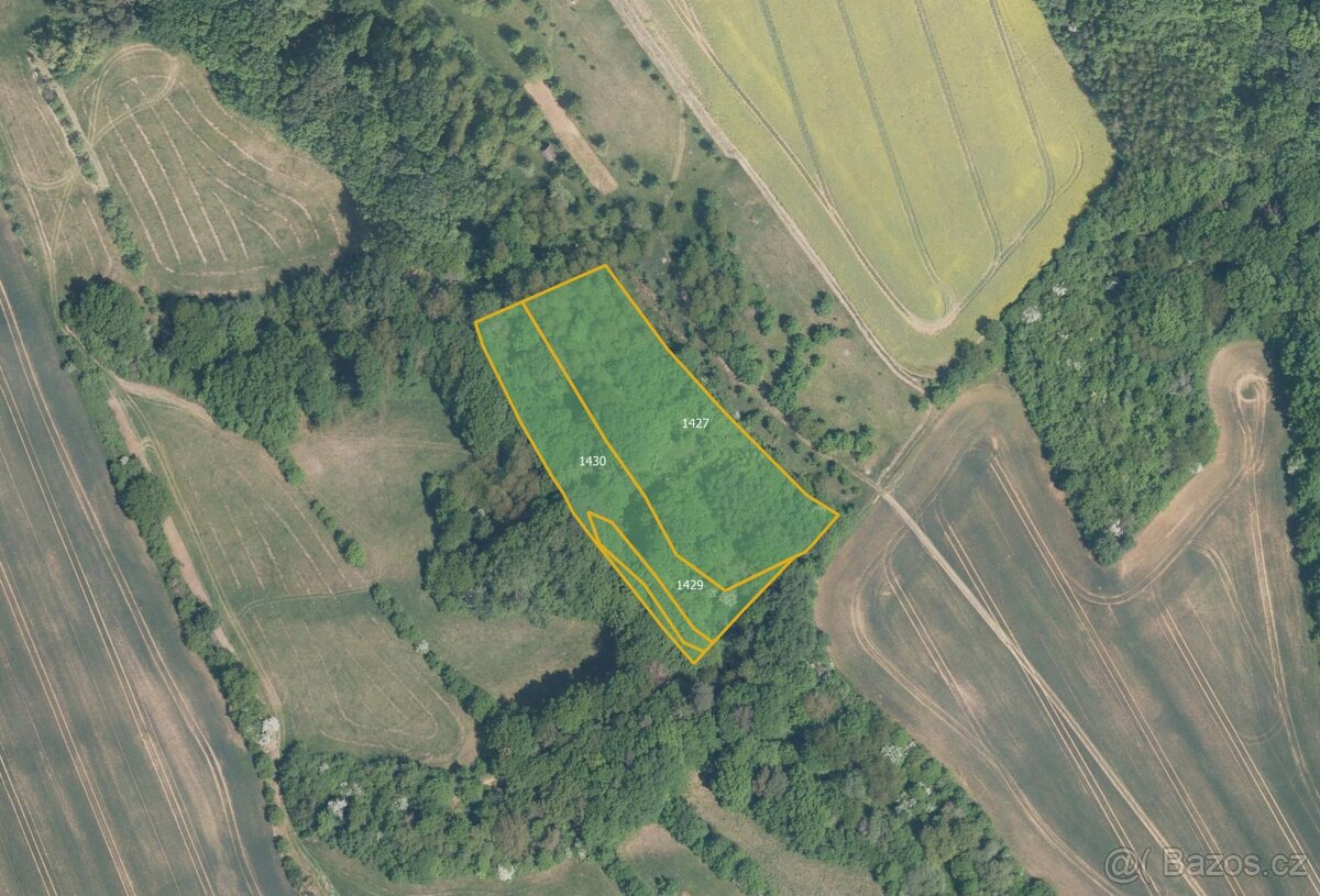 Zemědělská půda, prodej, Traplice, Uherské Hradiště - 3