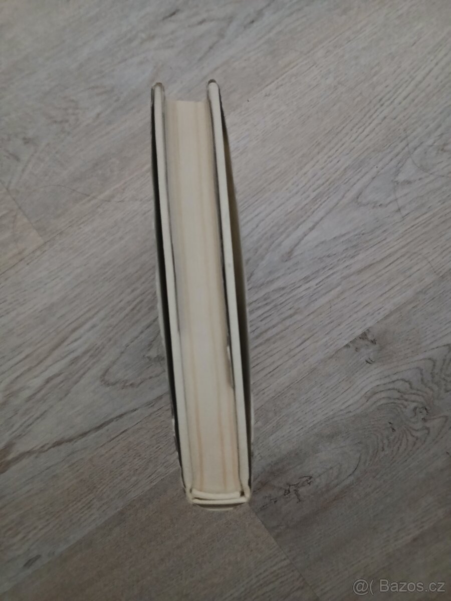 Poznámky o divadle - 3