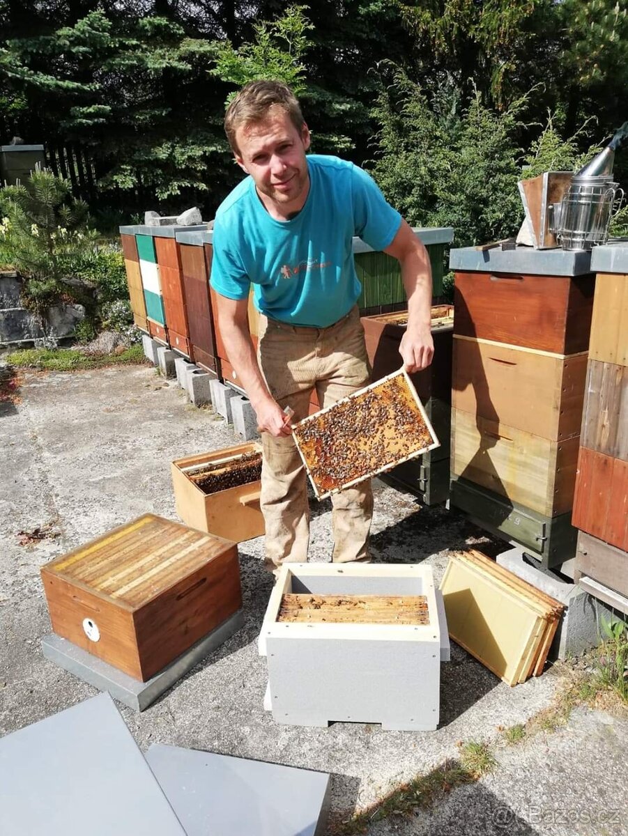 Včelí odděleky - 3