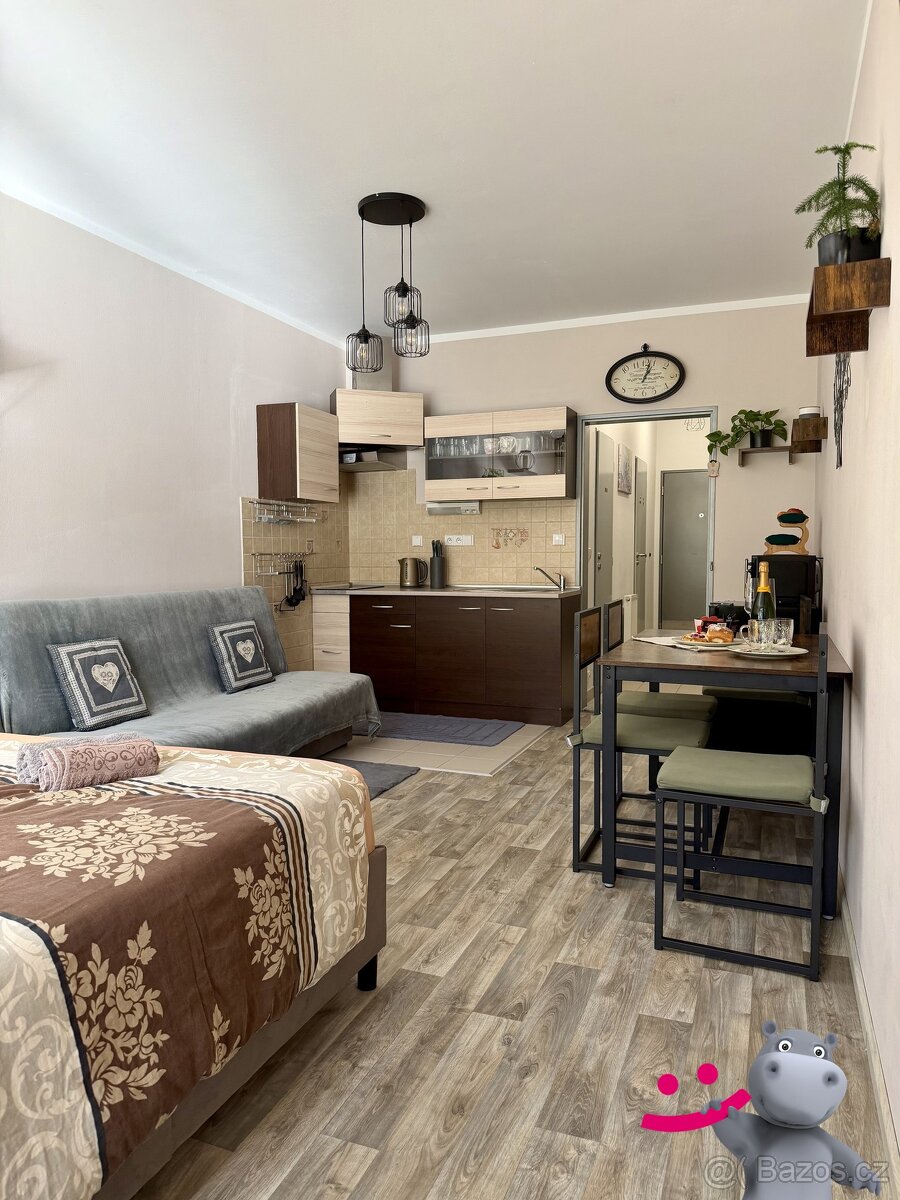 Prodej apartmánu 1+kk, 38 m² + zahrada s terasou 18 m² – Ha - 3