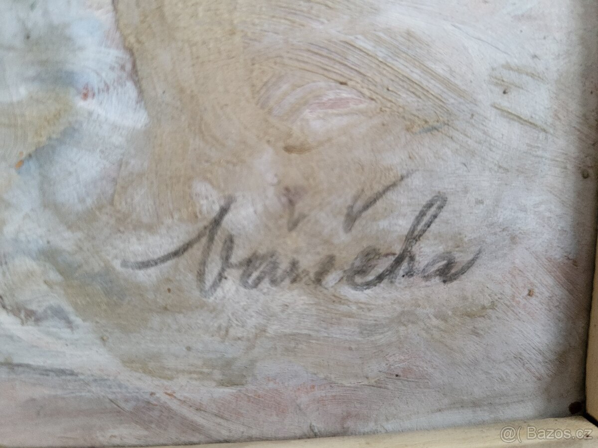 Obraz - malíř Vařečka - 3