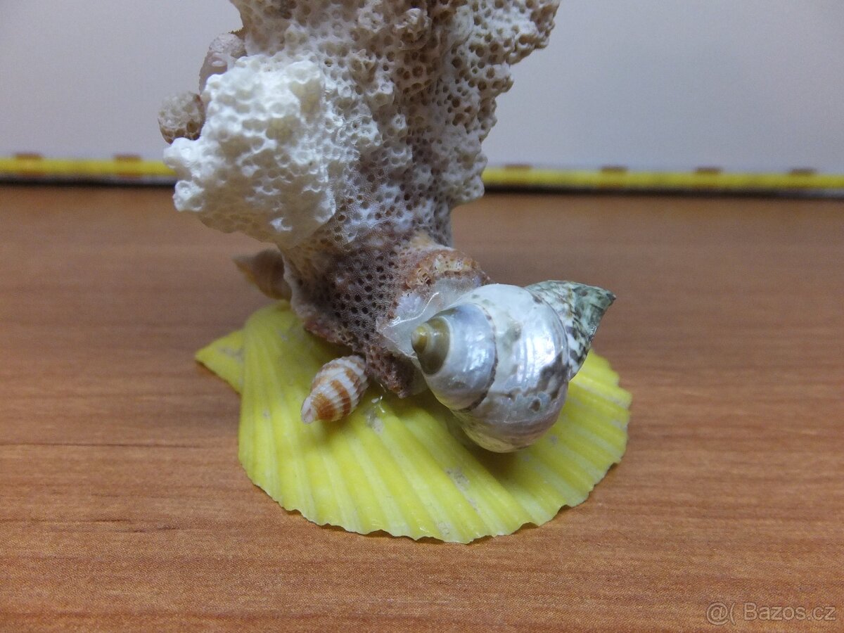 Retro dekorace s pravého mořského korálu a mušlí. - 3