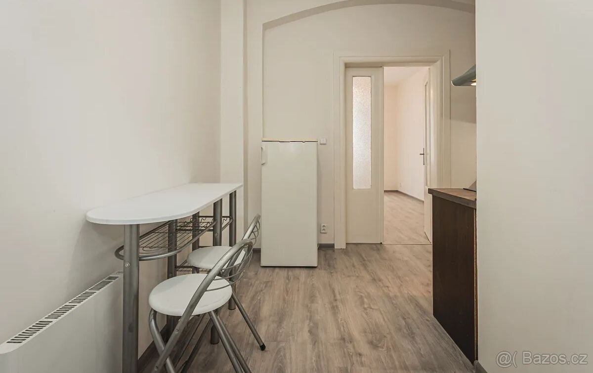 Pronájem 1+1 - 3