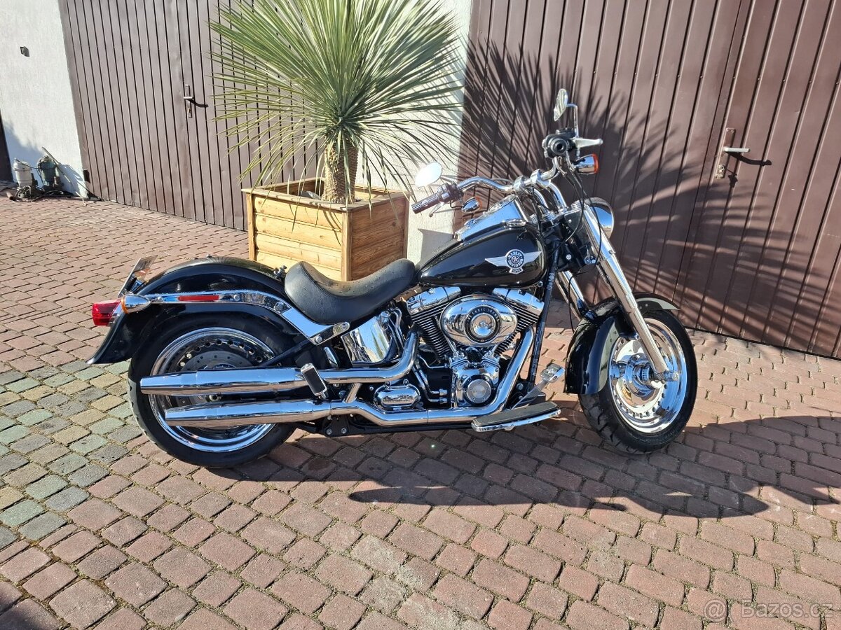 Harley Davidson FAT BOY 2011 - 3