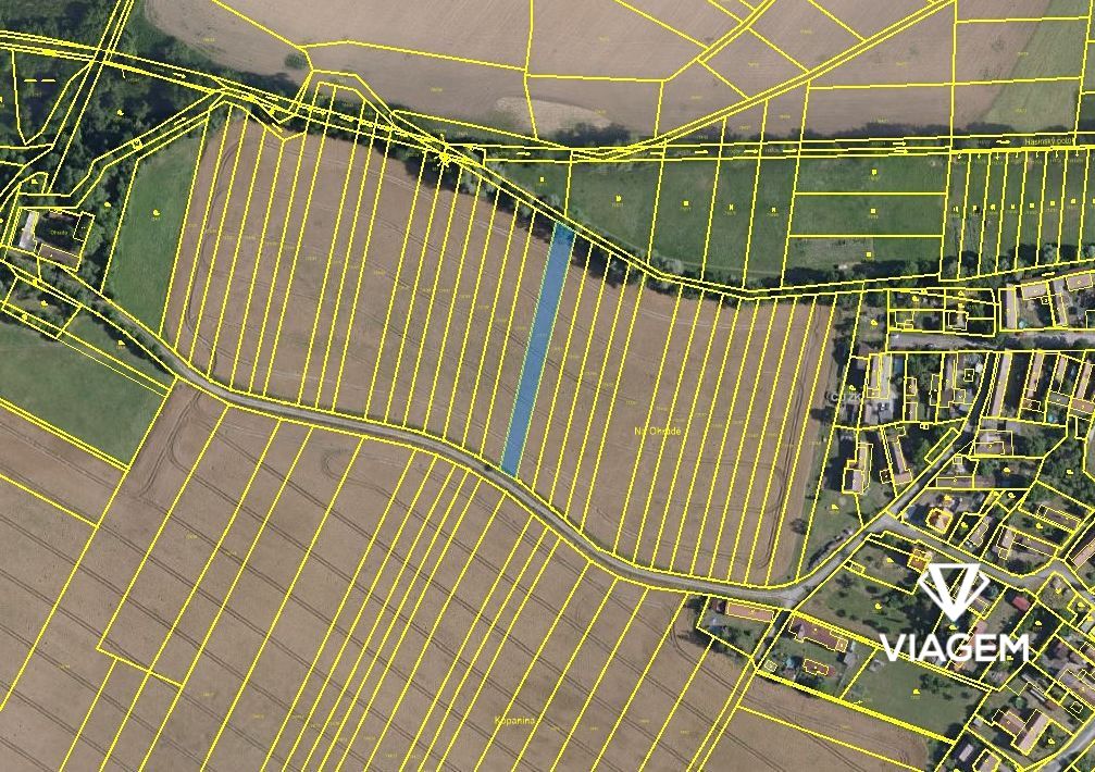Pole 1 313 m², Podíl 33 % o výměře 438 m² - 3