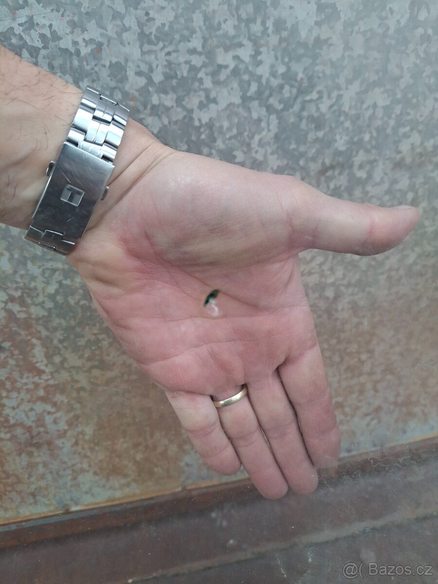 Čelní sklo Favorit - 3