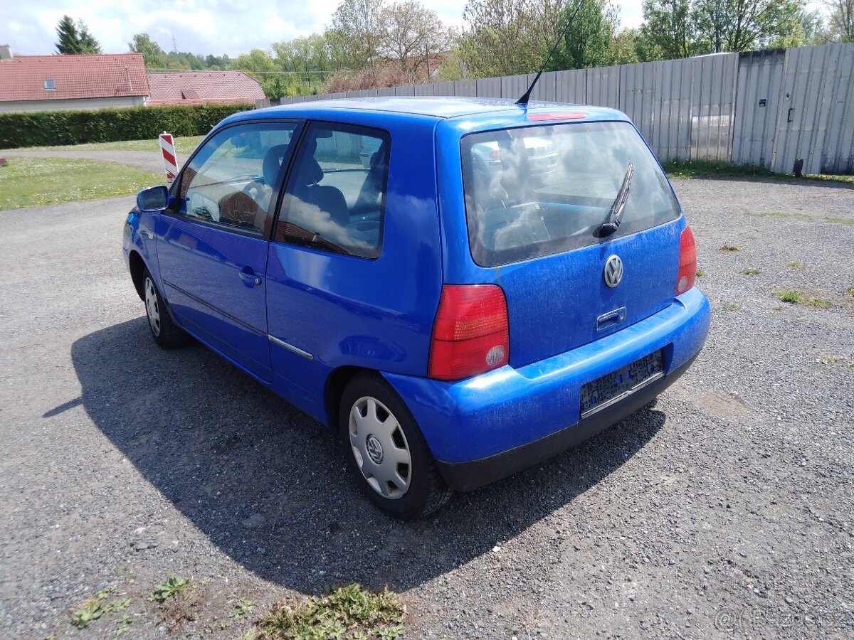 Lupo - 3