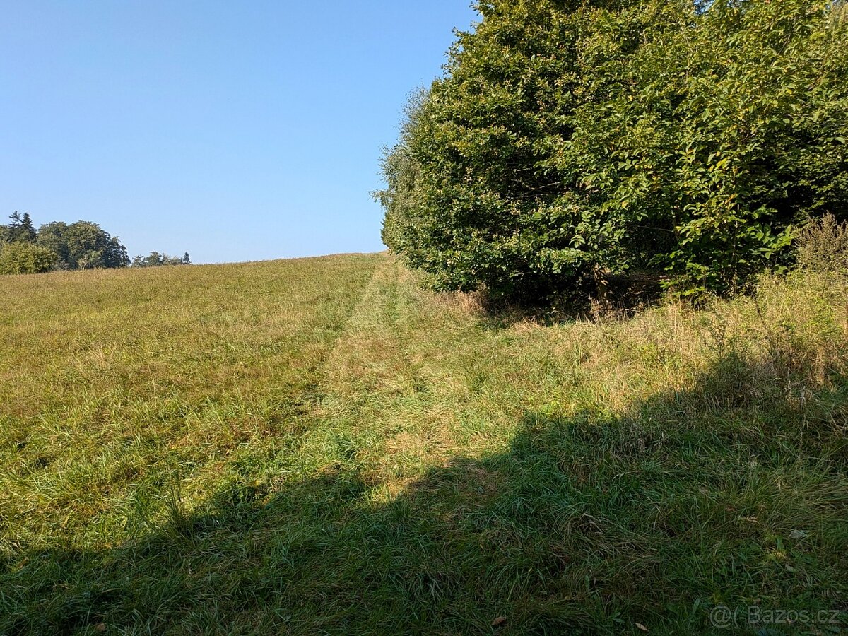 Prodej stavebního pozemku 7990 m² Nové Lublice - 3