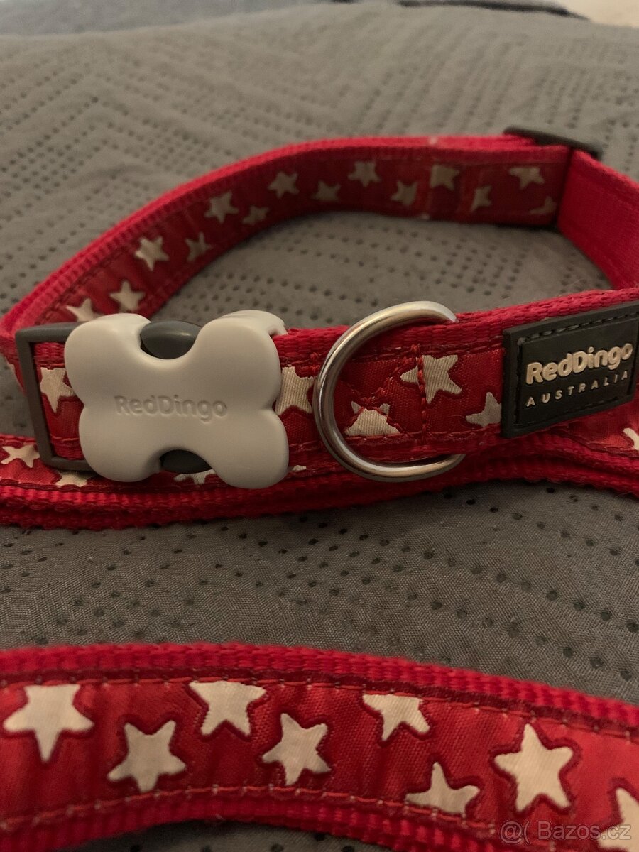 Vodítko + obojek - 3