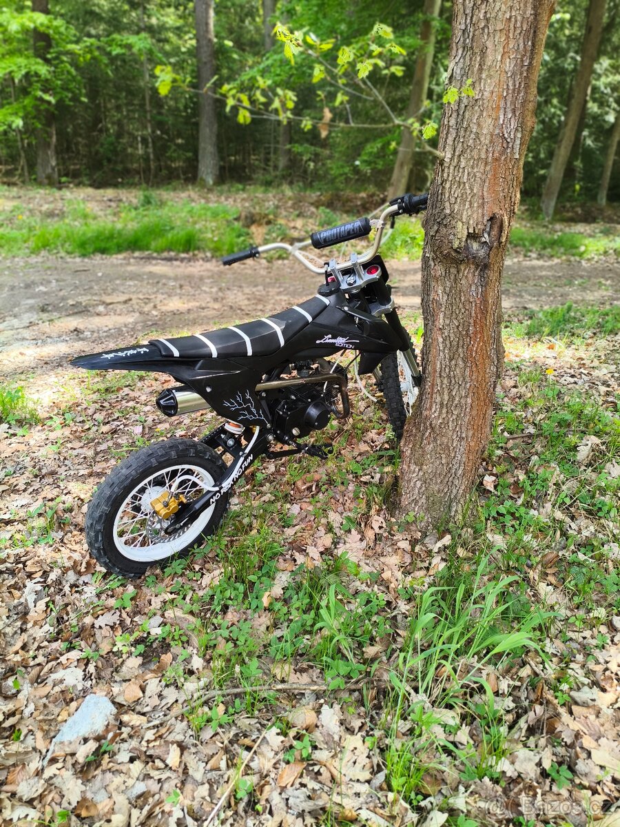 Pitbike 125 - 3