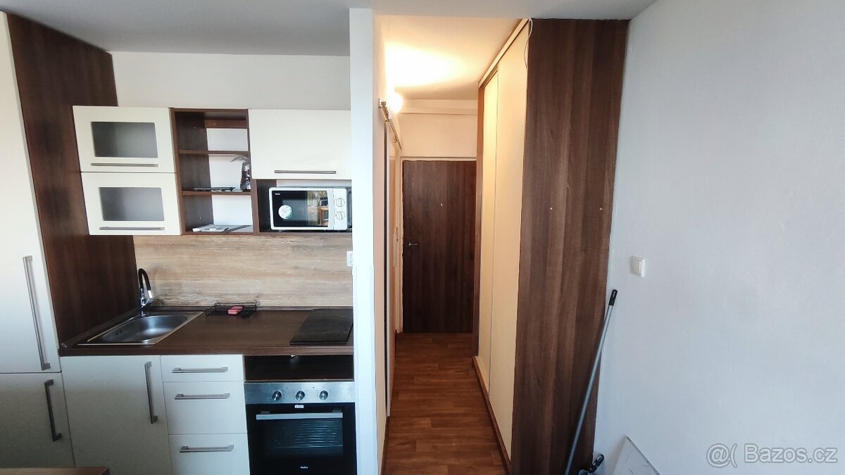 Pronájem bytu 1kk Lovosice - 3