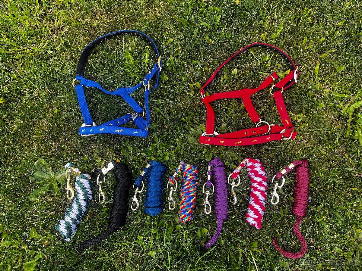 Ohlavky, vodítka - 3