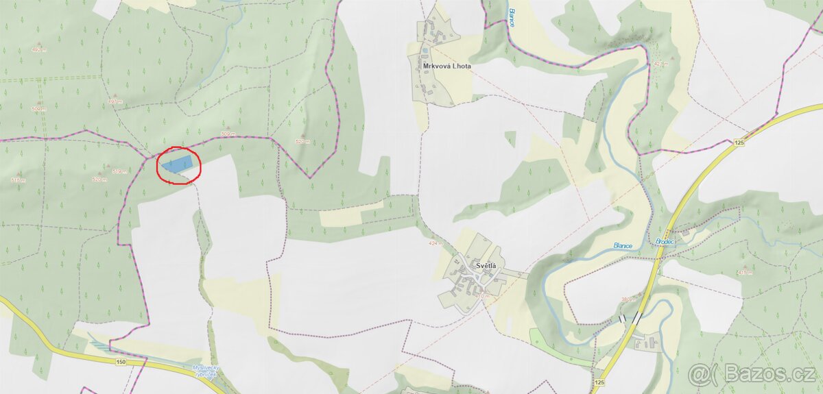 Prodám lesní pozemek v k. ú. Louňovice pod Blaníkem - 3