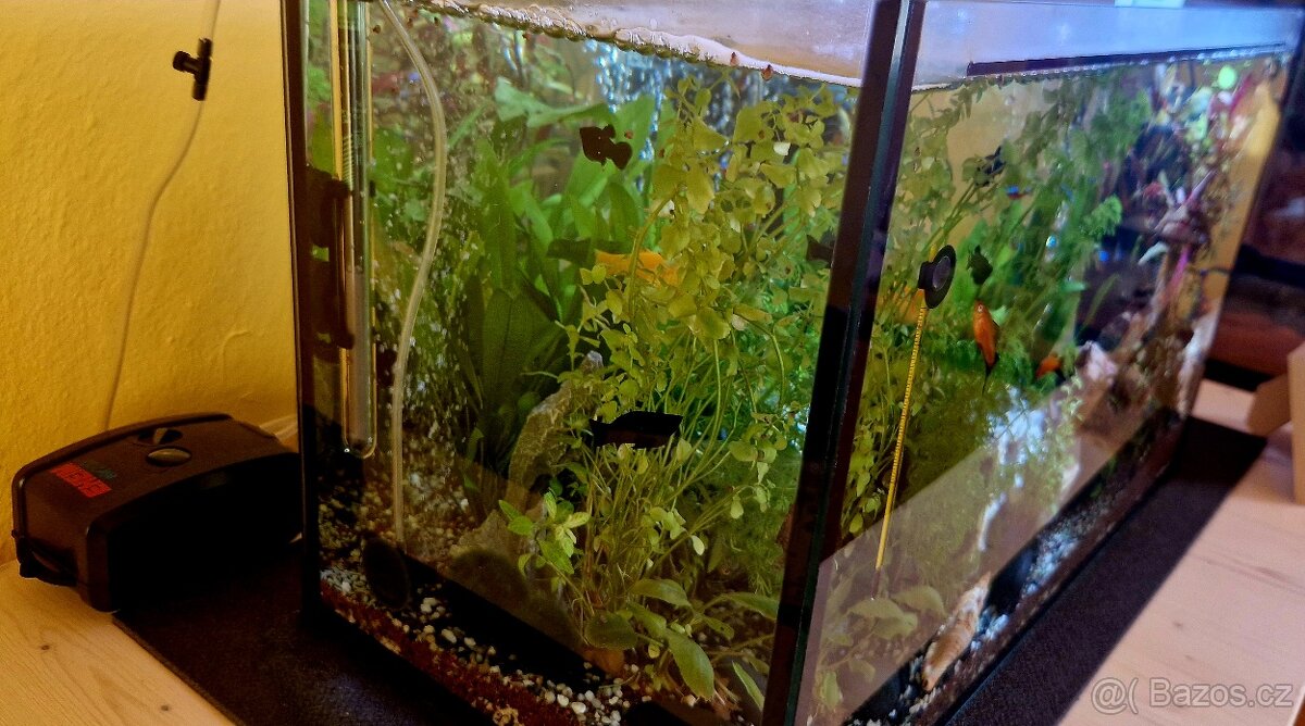 Prodám akvárium - 3