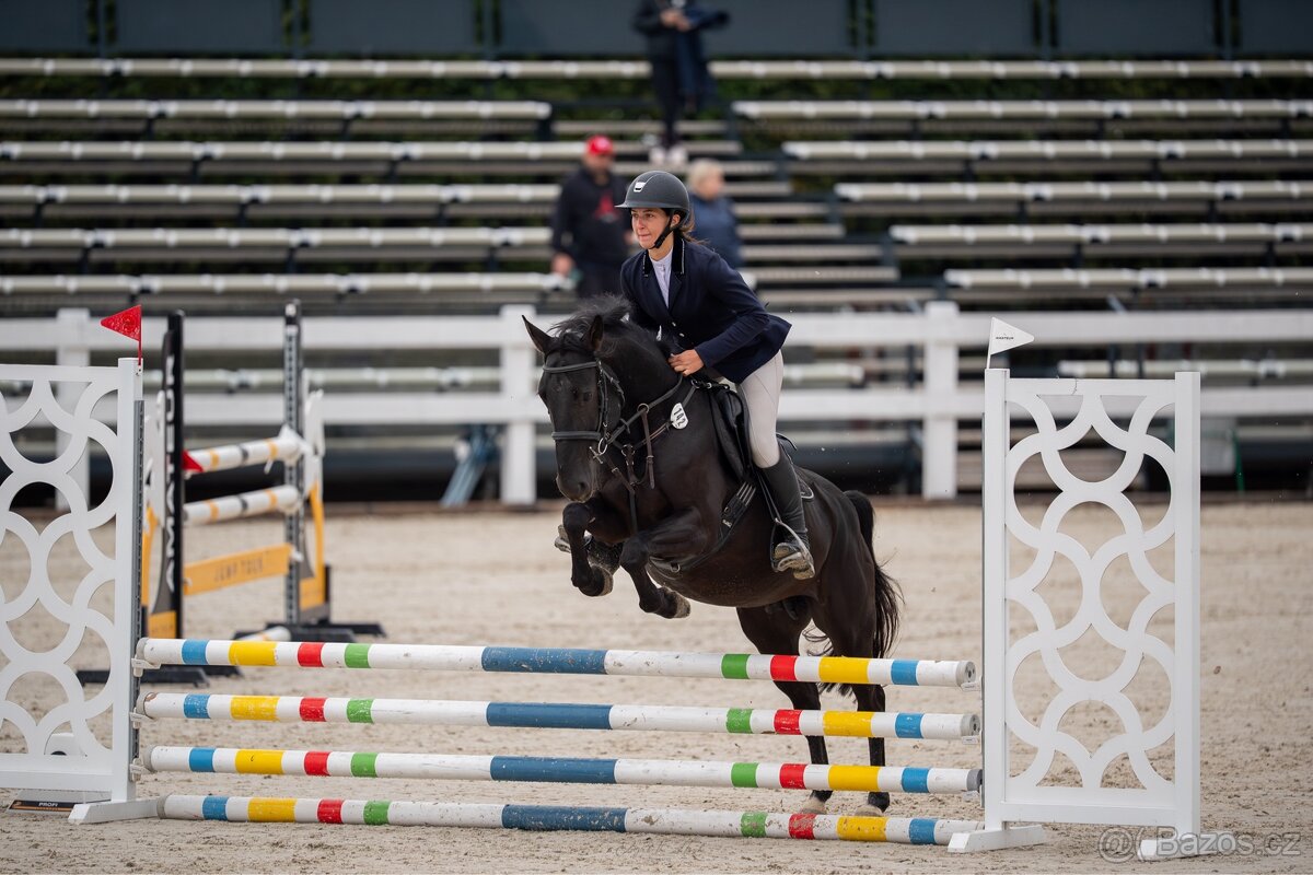 pony klisna kat. B - 3