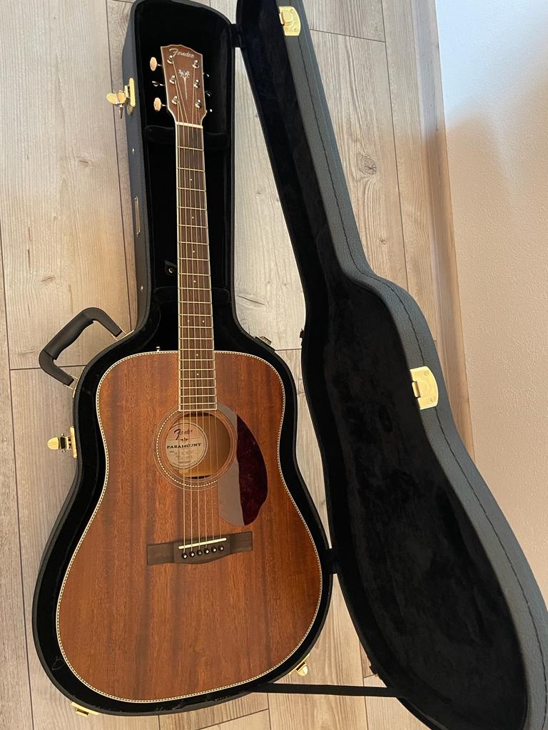 Kytara fender pm-1 - 3