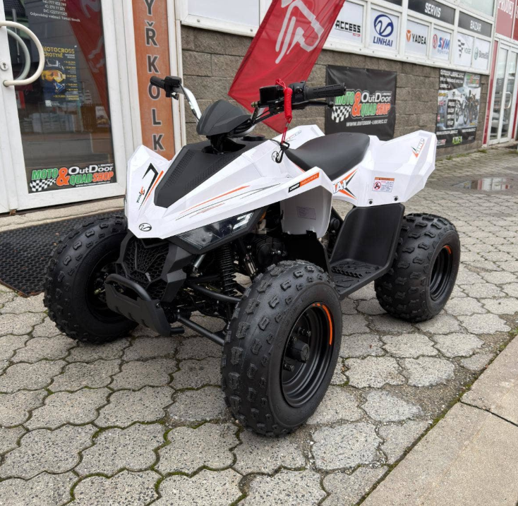 Linhai Dětská čtyřkolka ATV 110 Junior - 3