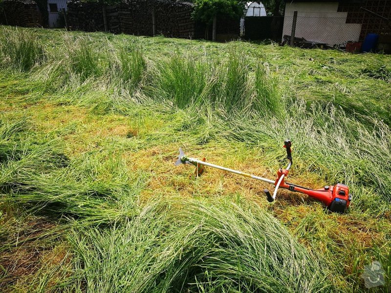 práce brigáda dřevo - 3