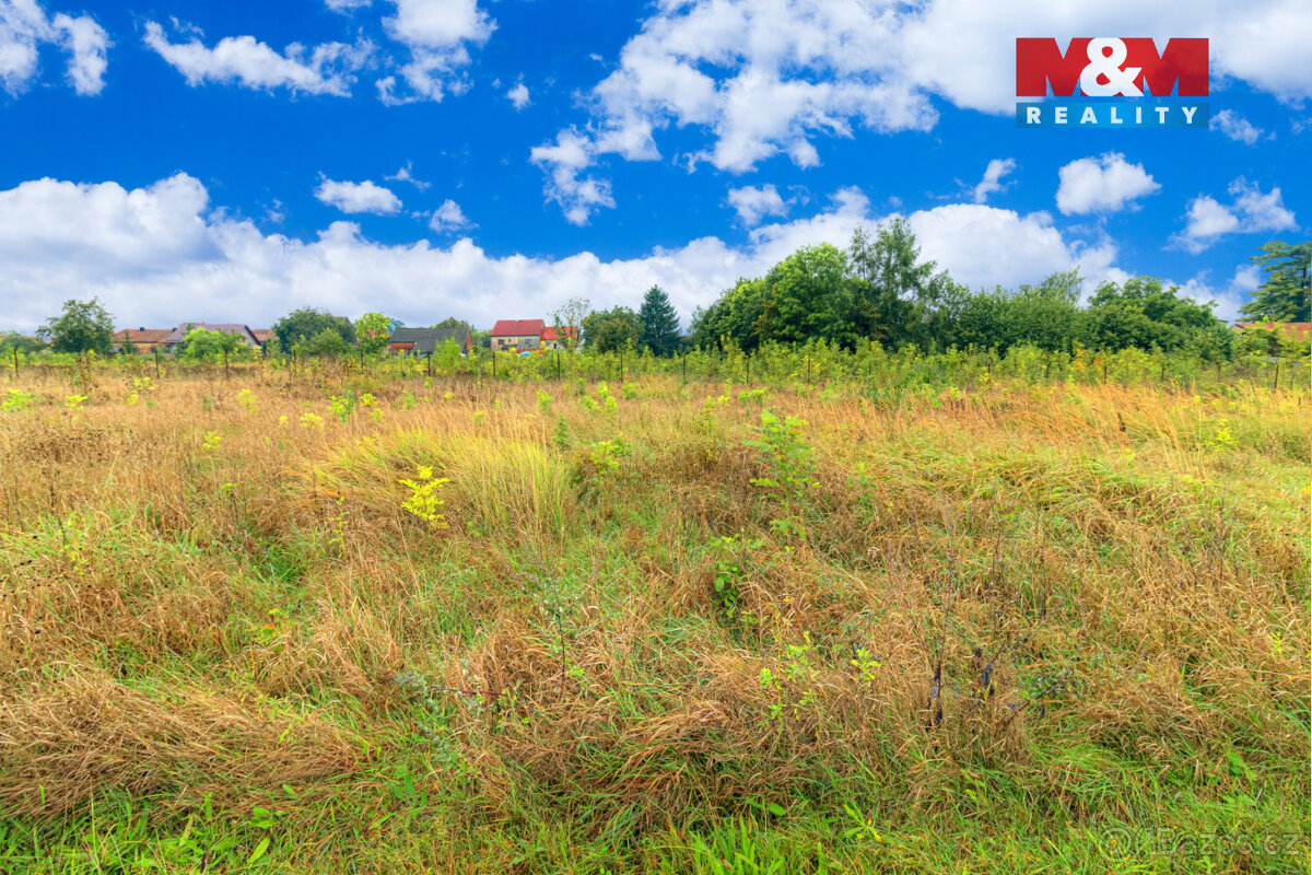 Prodej pozemku k bydlení, 3026 m², Kolešovice - 3