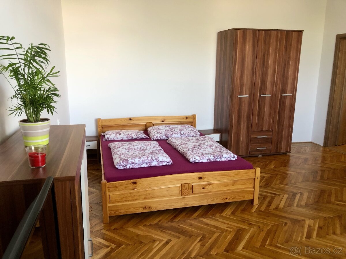 Pronájem bytu 1+1 - 3