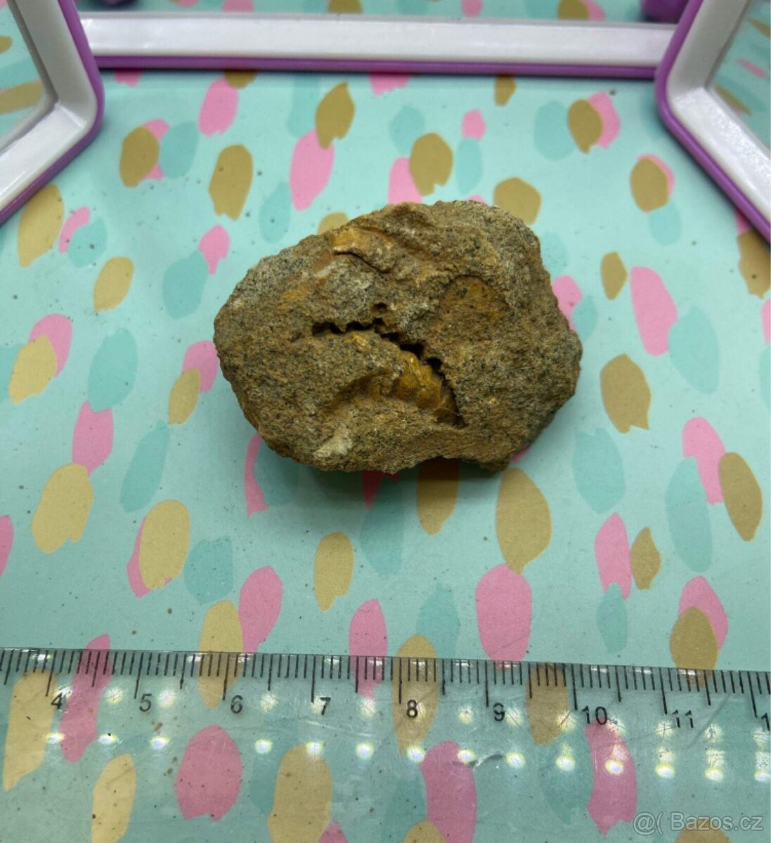 Zkameněliny - fosilie - 3