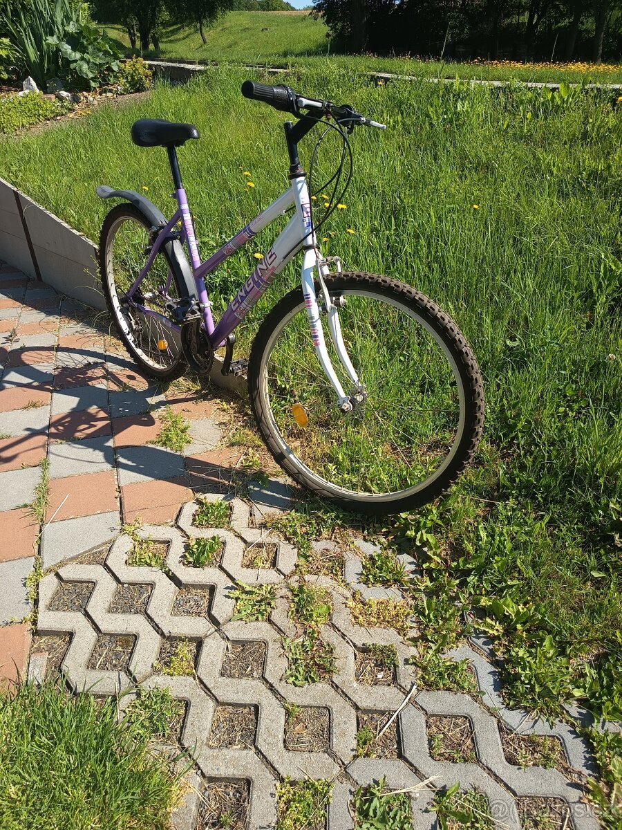 Prodám dámské kolo - 3