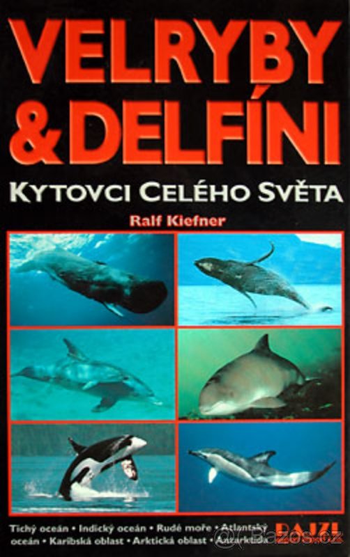 rad bych koupil tyhle knihy - 3