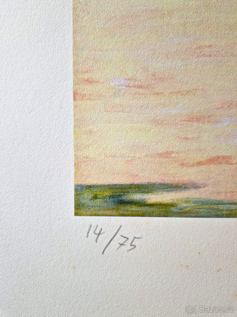 ANDREAS SCHOLZ - Sellerie und tomate (Litografia)fotorealis - 3