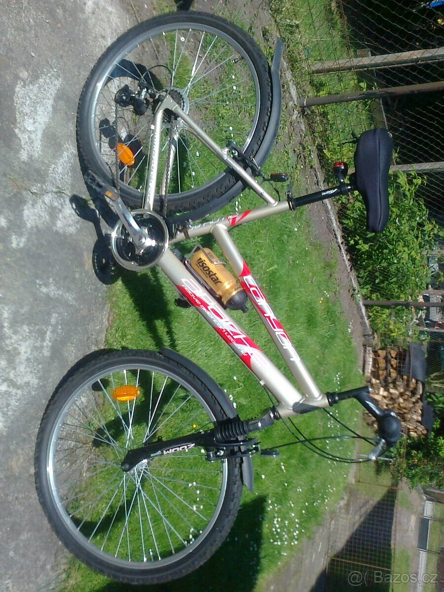 Prodám dámské kolo apache - 3