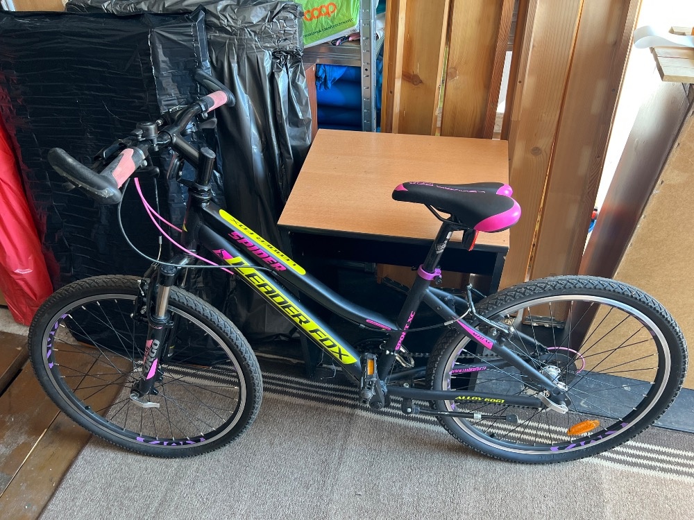 Dětské kolo Leader fox - 3