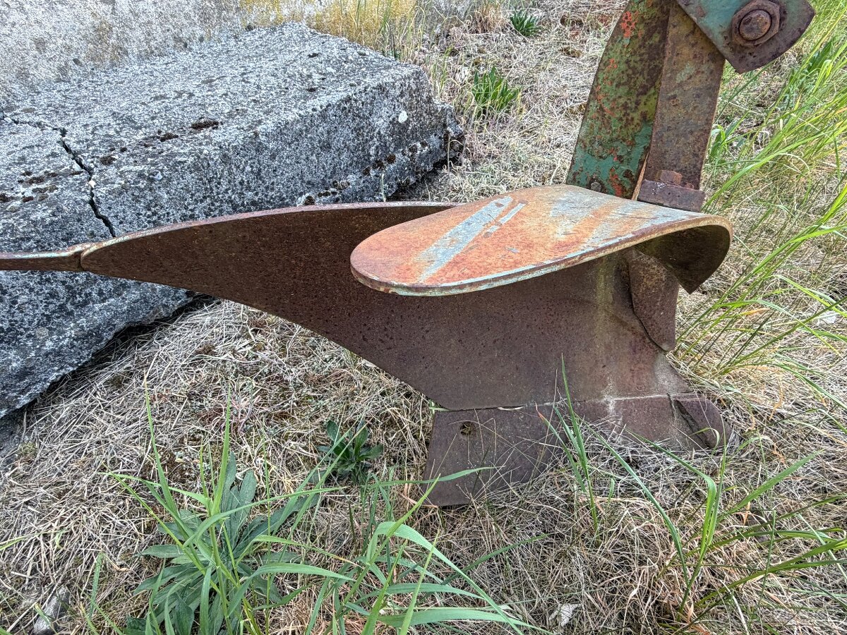 Pluh čtyřradličný - 3