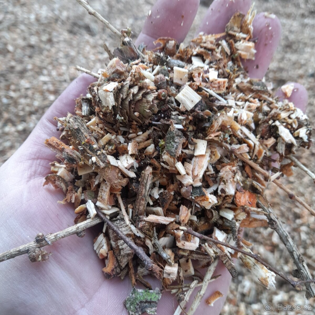 Modřínová štěpka - 3