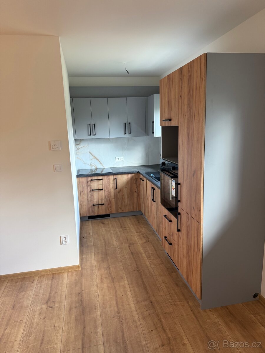 Pronájem bytu 3+KK - 3