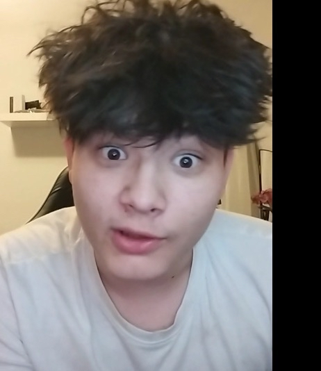 Zvířátka na prodej - 3