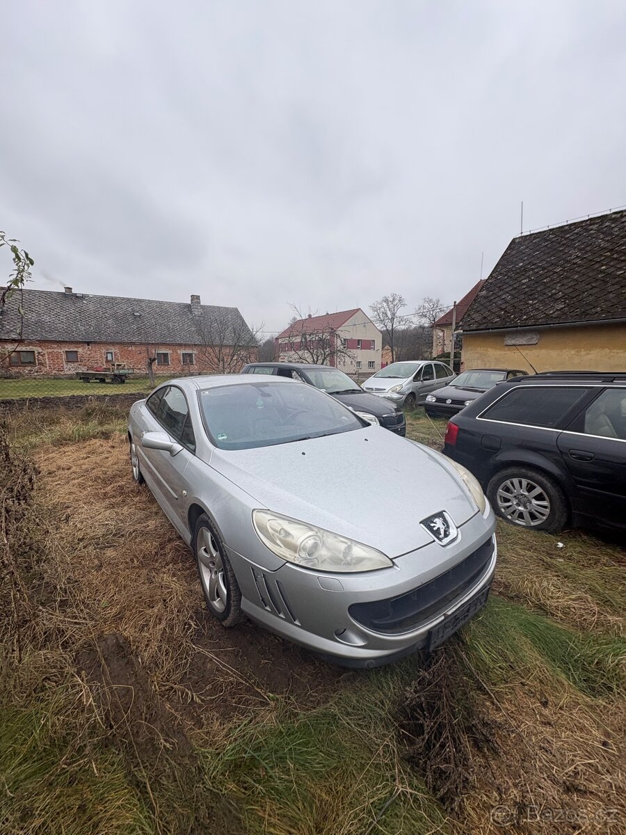 Peugeot 407 coupe 2.7hdi - 3