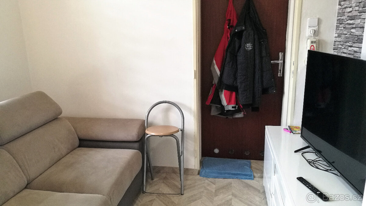 Pronájem 1+kk v bytovém domě se zahradou - 3
