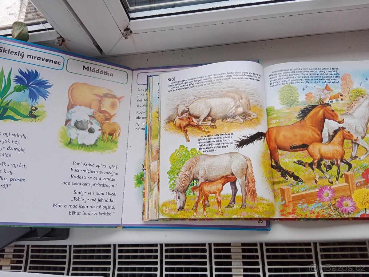 Různé knihy velké - 3