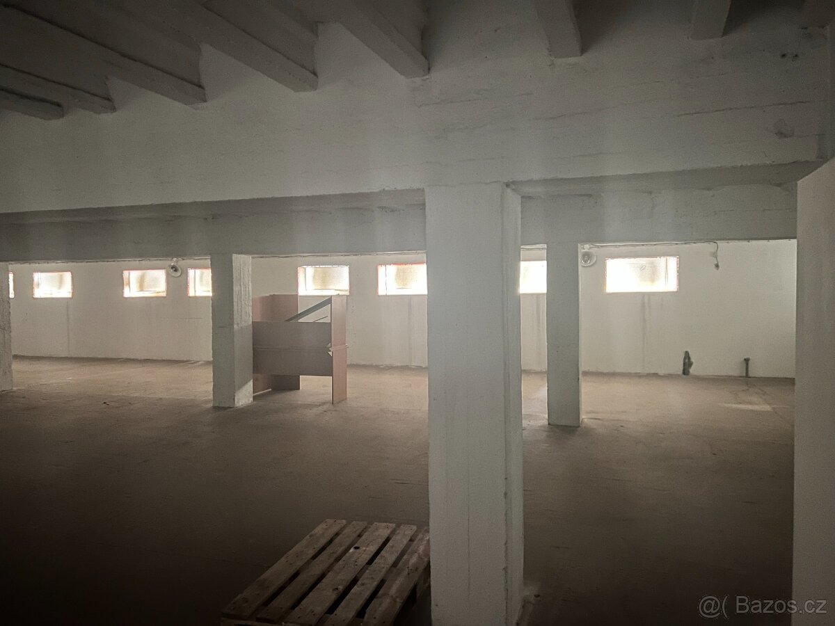 Skladovací služby/ pronájem - 3