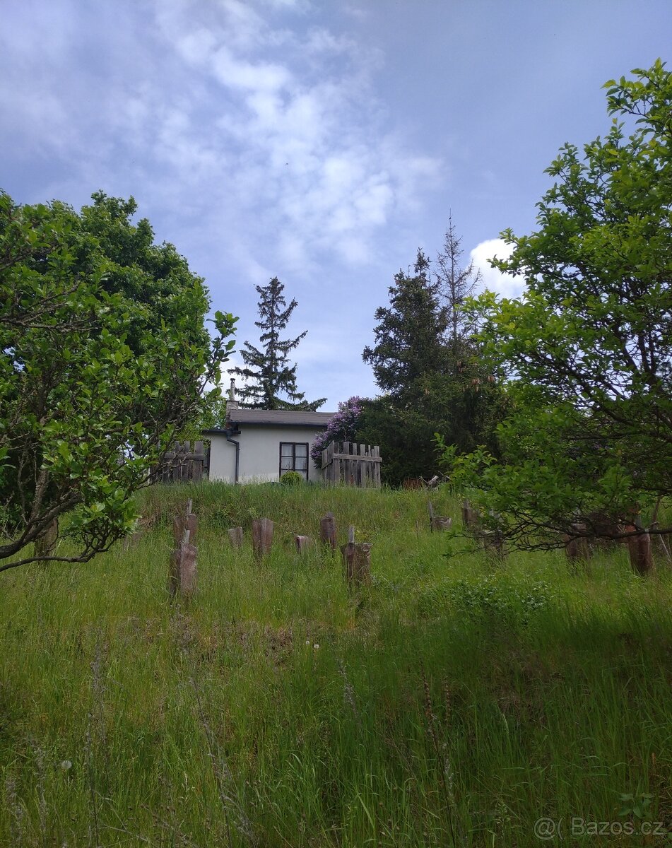 Pronájem zahrady, Brno - Kr. Pole - 3