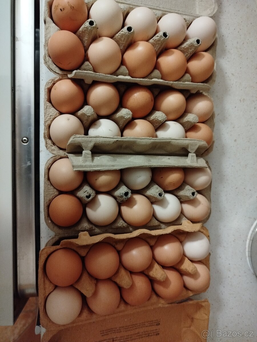 Vajíčka domácí - 3