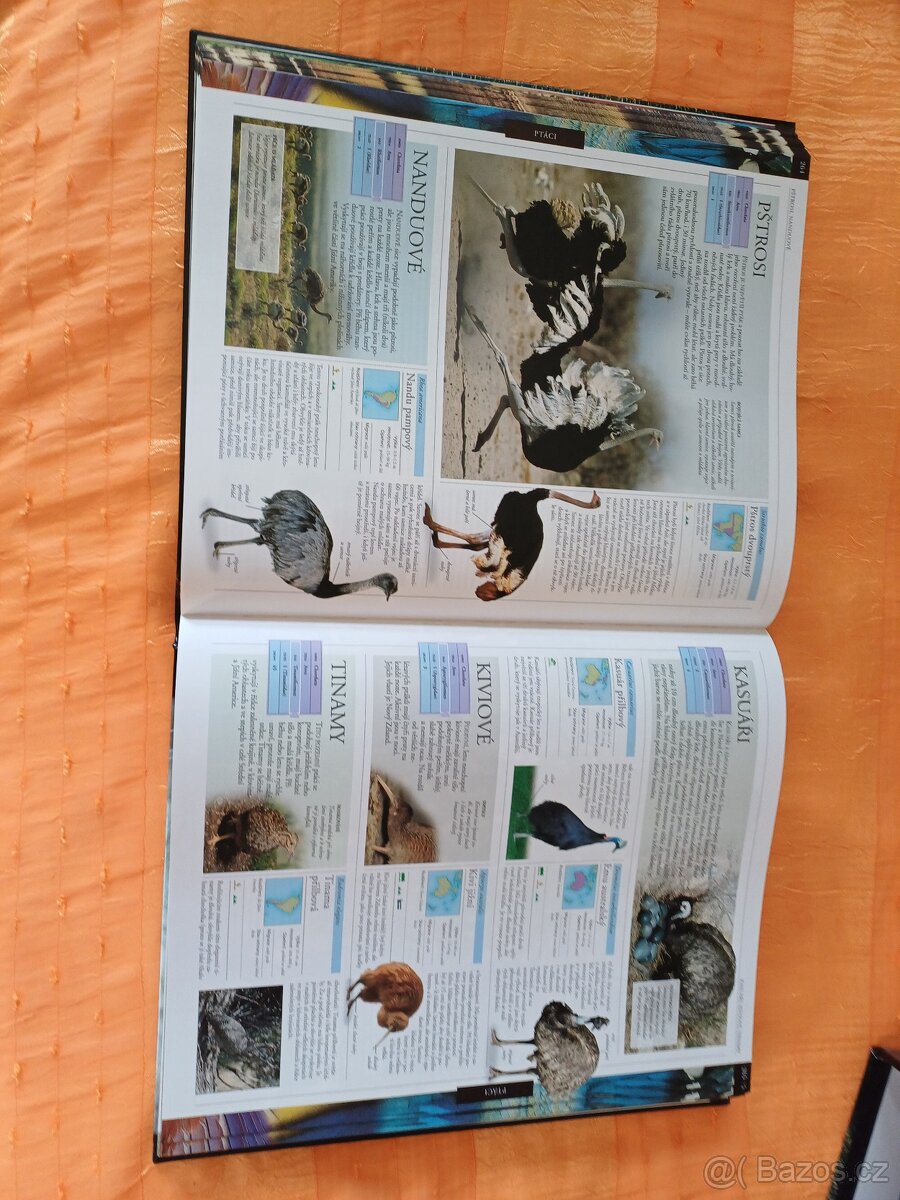 Zvíře obrazová encyklopedie živočichů celého světa - 3