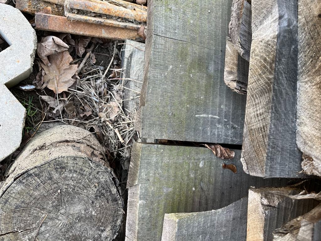 Vysušené dřevěné dubové fošny - 3