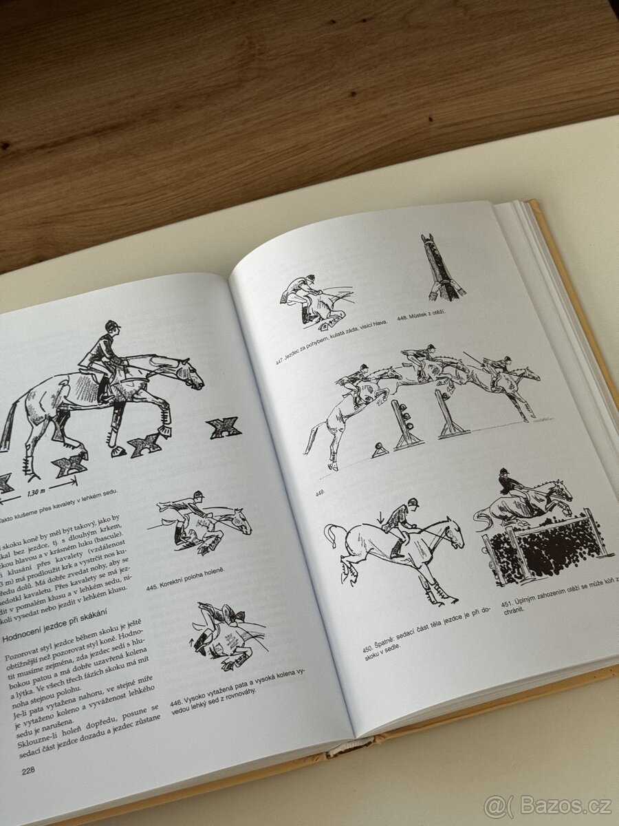 Anthony Paalman – Skokové ježdění - 3