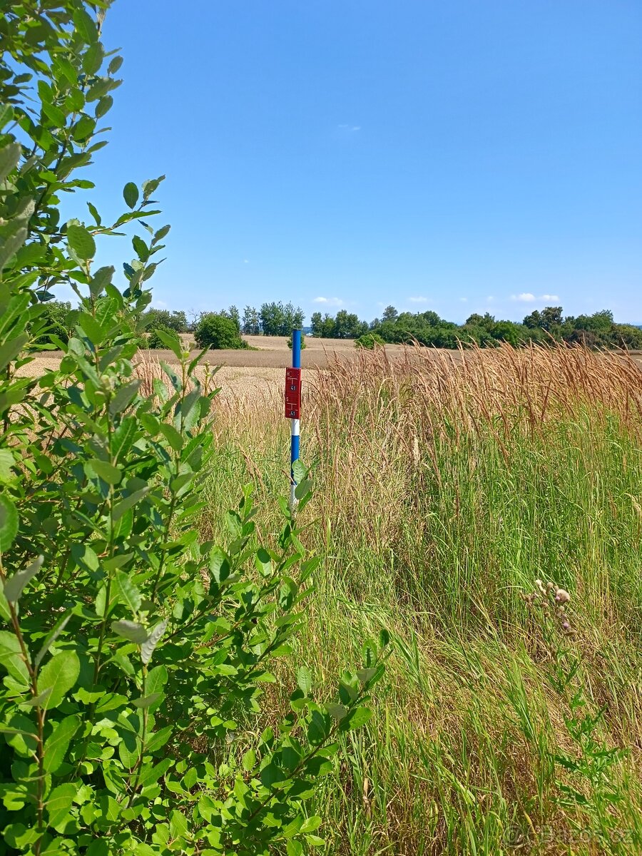 Prodej pozemku k bydlení, 964 m² - 3