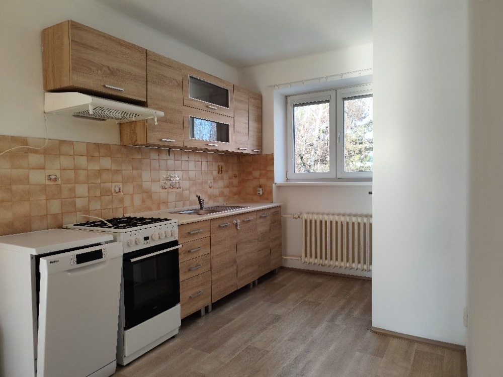 Pronajmu byt 2+1 - 3