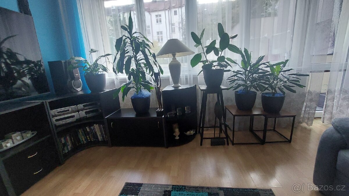 Obyvaci stena ..cerna - 3