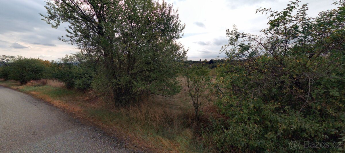 Dolní Kounice (1 406 m2) - 3