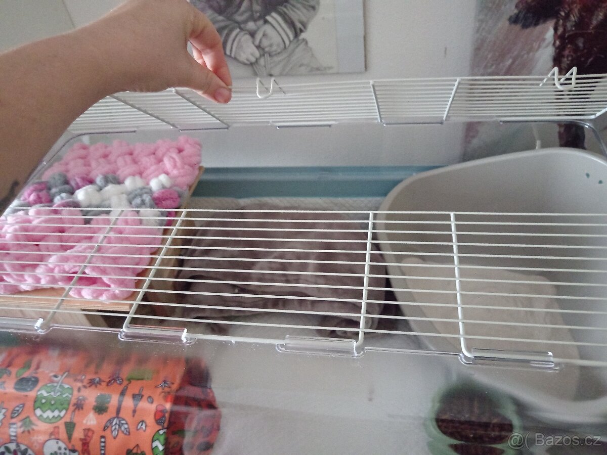 Box na mensi zvířátko - 3